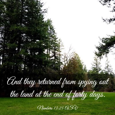 Picture 03 - Numbers 13:25 ASV - And they returned from spying out the land at the - Bible Verse Picture
