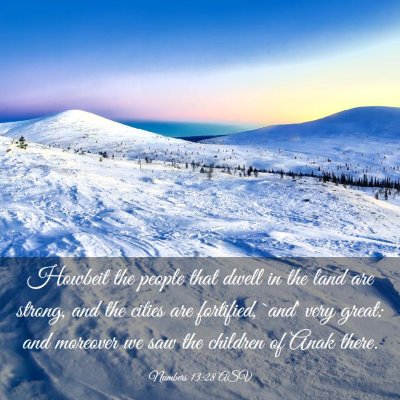 Picture 03 - Numbers 13:28 ASV - Howbeit the people that dwell in the land are - Bible Verse Picture