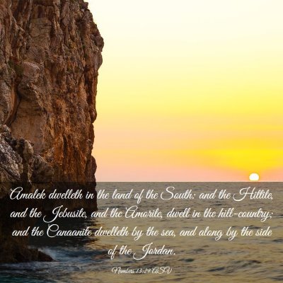 Picture 03 - Numbers 13:29 ASV - Amalek dwelleth in the land of the South: and the - Bible Verse Picture