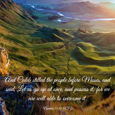 Picture 03 - Numbers 13:30 ASV - And Caleb stilled the people before Moses, and - Bible Verse Picture