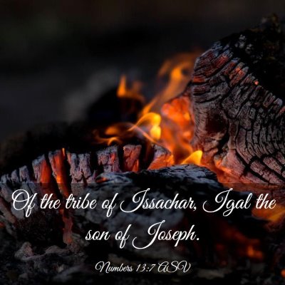 Picture 03 - Numbers 13:7 ASV - Of the tribe of Issachar, Igal the son of - Bible Verse Picture