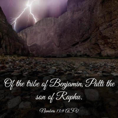 Picture 03 - Numbers 13:9 ASV - Of the tribe of Benjamin, Palti the son of - Bible Verse Picture