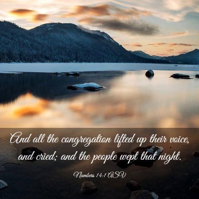 Picture 03 - Numbers 14:1 ASV - And all the congregation lifted up their voice, - Bible Verse Picture