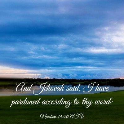 Picture 03 - Numbers 14:20 ASV - And Jehovah said, I have pardoned according to - Bible Verse Picture