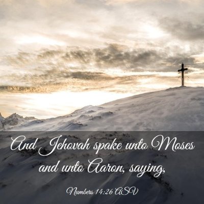 Picture 03 - Numbers 14:26 ASV - And Jehovah spake unto Moses and unto Aaron, - Bible Verse Picture