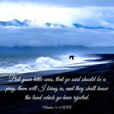 Picture 03 - Numbers 14:31 ASV - But your little ones, that ye said should be a - Bible Verse Picture