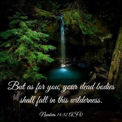Picture 03 - Numbers 14:32 ASV - But as for you, your dead bodies shall fall in - Bible Verse Picture