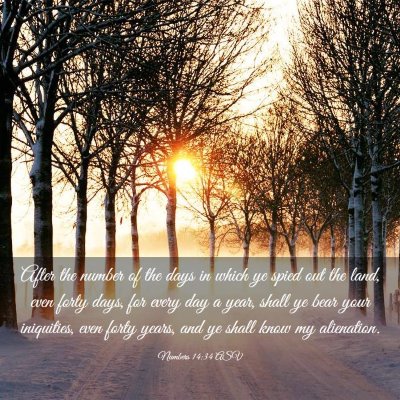 Picture 03 - Numbers 14:34 ASV - After the number of the days in which ye spied - Bible Verse Picture