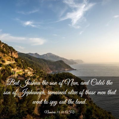 Picture 03 - Numbers 14:38 ASV - But Joshua the son of Nun, and Caleb the son of - Bible Verse Picture