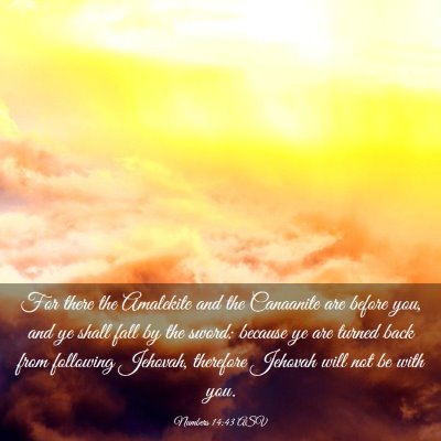 Picture 03 - Numbers 14:43 ASV - For there the Amalekite and the Canaanite are - Bible Verse Picture