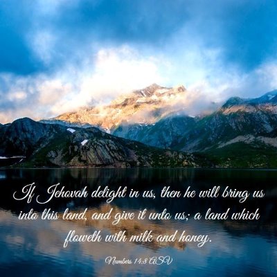 Picture 03 - Numbers 14:8 ASV - If Jehovah delight in us, then he will bring us - Bible Verse Picture