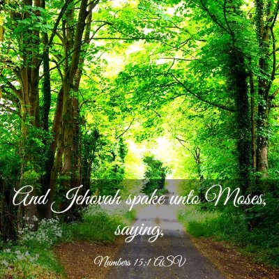 Picture 03 - Numbers 15:1 ASV - And Jehovah spake unto Moses, - Bible Verse Picture