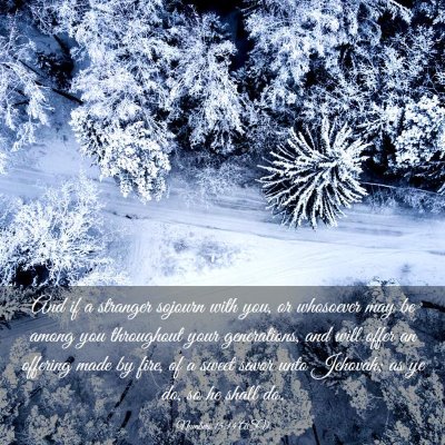 Picture 03 - Numbers 15:14 ASV - And if a stranger sojourn with you, or whosoever - Bible Verse Picture