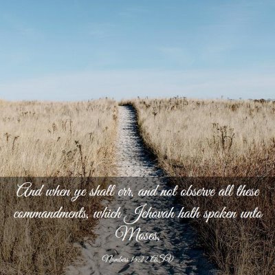 Picture 03 - Numbers 15:22 ASV - And when ye shall err, and not observe all these - Bible Verse Picture