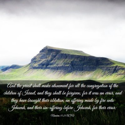 Picture 03 - Numbers 15:25 ASV - And the priest shall make atonement for all the - Bible Verse Picture