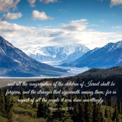 Picture 03 - Numbers 15:26 ASV - and all the congregation of the children of - Bible Verse Picture
