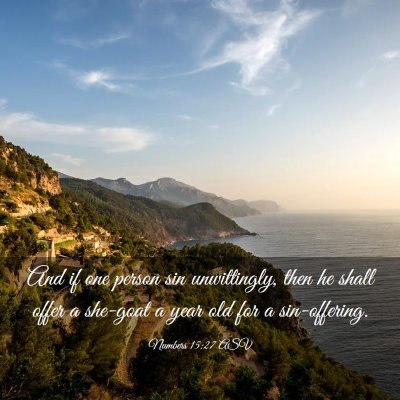Picture 03 - Numbers 15:27 ASV - And if one person sin unwittingly, then he shall - Bible Verse Picture