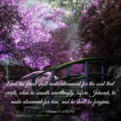 Picture 03 - Numbers 15:28 ASV - And the priest shall make atonement for the soul - Bible Verse Picture