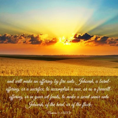 Picture 03 - Numbers 15:3 ASV - and will make an offering by fire unto Jehovah, a - Bible Verse Picture