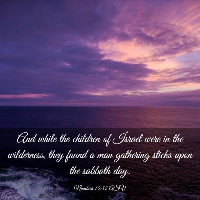 Picture 03 - Numbers 15:32 ASV - And while the children of Israel were in the - Bible Verse Picture