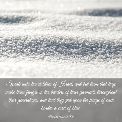 Picture 03 - Numbers 15:38 ASV - Speak unto the children of Israel, and bid them - Bible Verse Picture