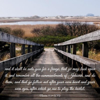 Picture 03 - Numbers 15:39 ASV - and it shall be unto you for a fringe, that ye - Bible Verse Picture