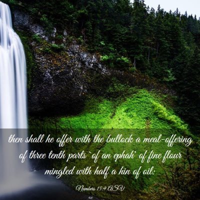 Picture 03 - Numbers 15:9 ASV - then shall he offer with the bullock a - Bible Verse Picture