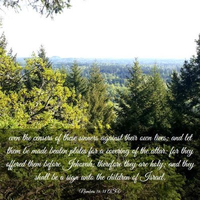 Picture 03 - Numbers 16:38 ASV - even the censers of these sinners against their - Bible Verse Picture