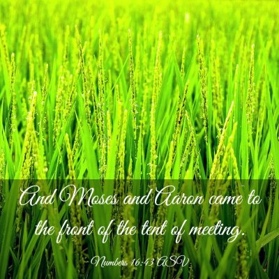 Picture 03 - Numbers 16:43 ASV - And Moses and Aaron came to the front of the tent - Bible Verse Picture