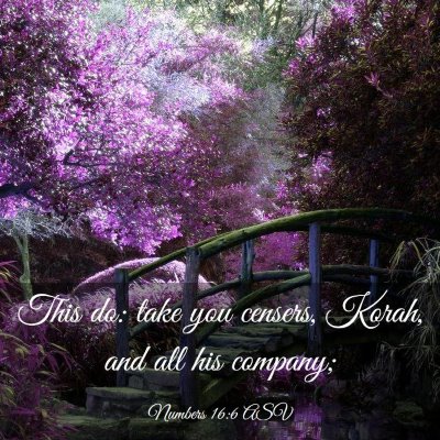 Picture 03 - Numbers 16:6 ASV - This do: take you censers, Korah, and all his - Bible Verse Picture