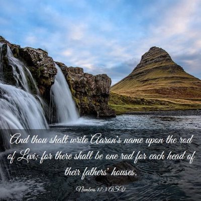 Picture 03 - Numbers 17:3 ASV - And thou shalt write Aaron's name upon the rod of - Bible Verse Picture