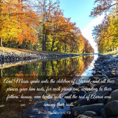 Picture 03 - Numbers 17:6 ASV - And Moses spake unto the children of Israel; and - Bible Verse Picture