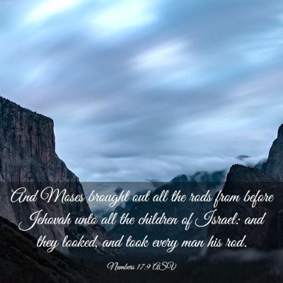 Picture 03 - Numbers 17:9 ASV - And Moses brought out all the rods from before - Bible Verse Picture