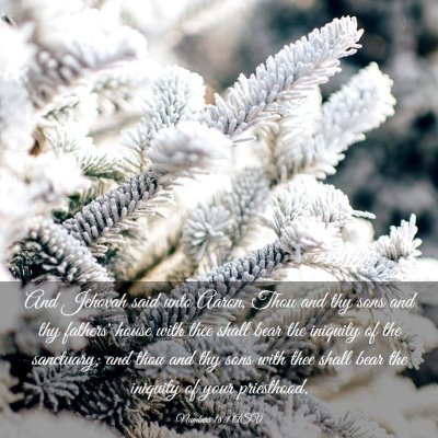 Picture 03 - Numbers 18:1 ASV - And Jehovah said unto Aaron, Thou and thy sons - Bible Verse Picture