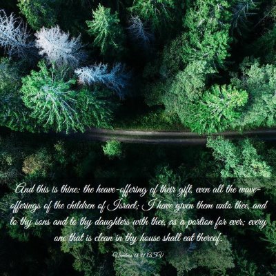 Picture 03 - Numbers 18:11 ASV - And this is thine: the heave-offering of their - Bible Verse Picture