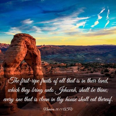Picture 03 - Numbers 18:13 ASV - The first-ripe fruits of all that is in their - Bible Verse Picture