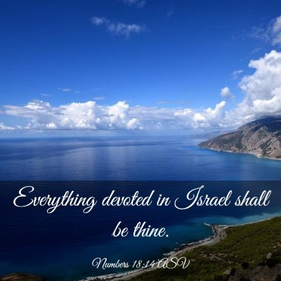 Picture 03 - Numbers 18:14 ASV - Everything devoted in Israel shall be - Bible Verse Picture