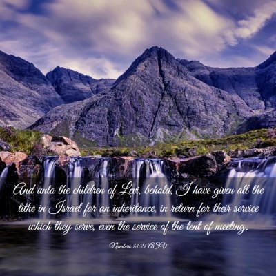 Picture 03 - Numbers 18:21 ASV - And unto the children of Levi, behold, I have - Bible Verse Picture