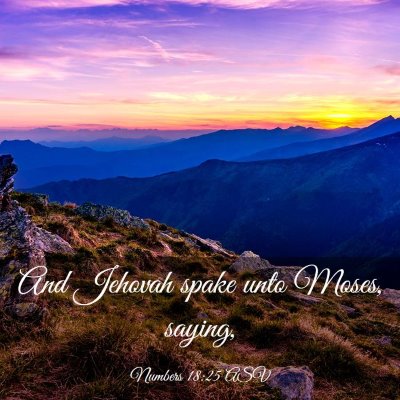 Picture 03 - Numbers 18:25 ASV - And Jehovah spake unto Moses, - Bible Verse Picture
