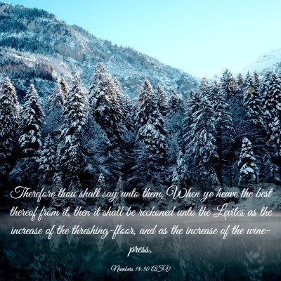 Picture 03 - Numbers 18:30 ASV - Therefore thou shalt say unto them, When ye heave - Bible Verse Picture