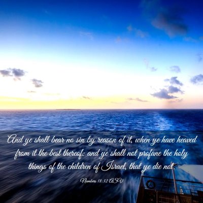 Picture 03 - Numbers 18:32 ASV - And ye shall bear no sin by reason of it, when ye - Bible Verse Picture