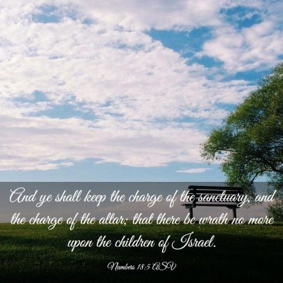 Picture 03 - Numbers 18:5 ASV - And ye shall keep the charge of the sanctuary, - Bible Verse Picture