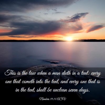 Picture 03 - Numbers 19:14 ASV - This is the law when a man dieth in a tent: every - Bible Verse Picture