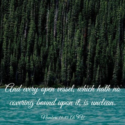 Picture 03 - Numbers 19:15 ASV - And every open vessel, which hath no covering - Bible Verse Picture