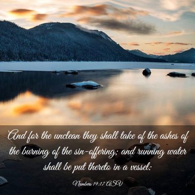 Picture 03 - Numbers 19:17 ASV - And for the unclean they shall take of the ashes - Bible Verse Picture