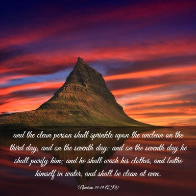 Picture 03 - Numbers 19:19 ASV - and the clean person shall sprinkle upon the - Bible Verse Picture