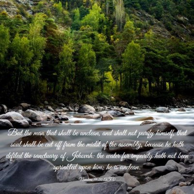 Picture 03 - Numbers 19:20 ASV - But the man that shall be unclean, and shall not - Bible Verse Picture