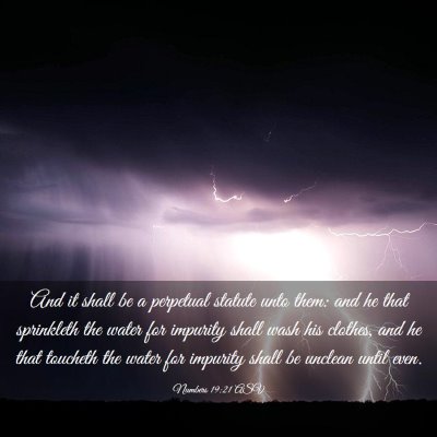 Picture 03 - Numbers 19:21 ASV - And it shall be a perpetual statute unto them: - Bible Verse Picture