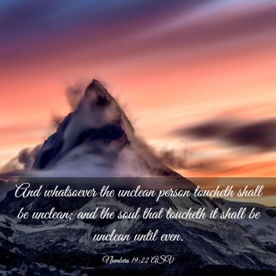 Picture 03 - Numbers 19:22 ASV - And whatsoever the unclean person toucheth shall - Bible Verse Picture