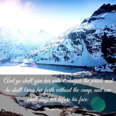 Picture 03 - Numbers 19:3 ASV - And ye shall give her unto Eleazar the priest, - Bible Verse Picture